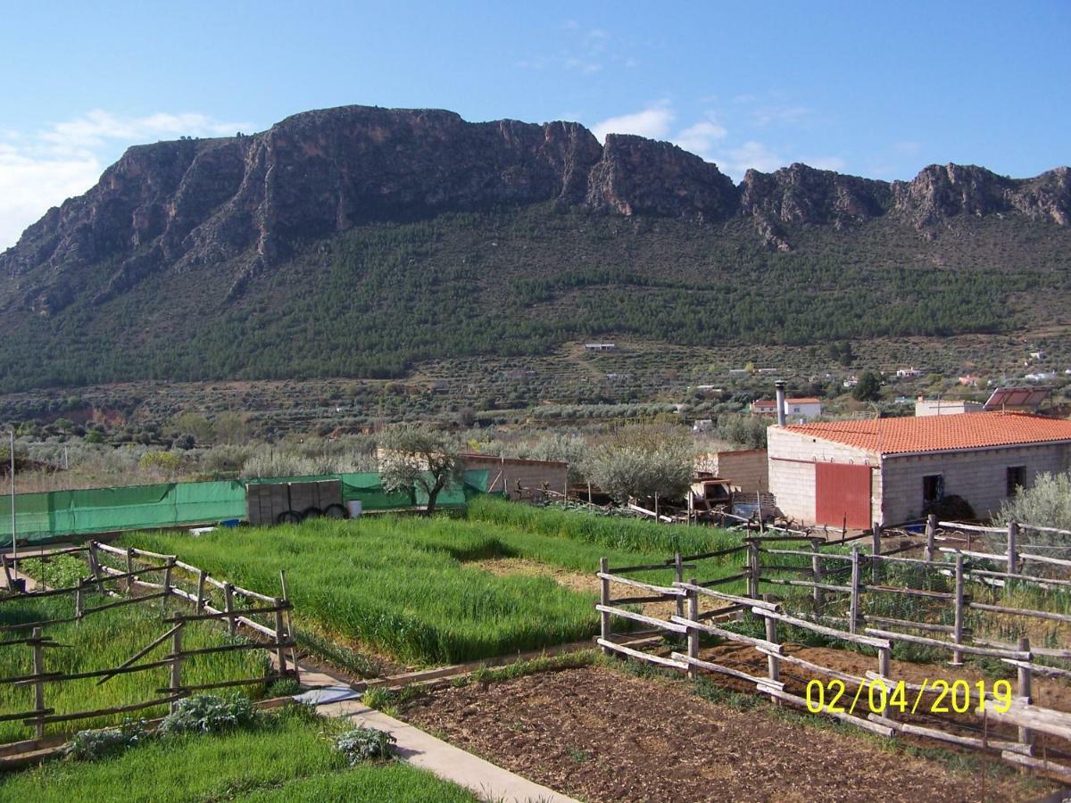 Casa Rural Altozano Elche De La Sierra Villa Exterior foto